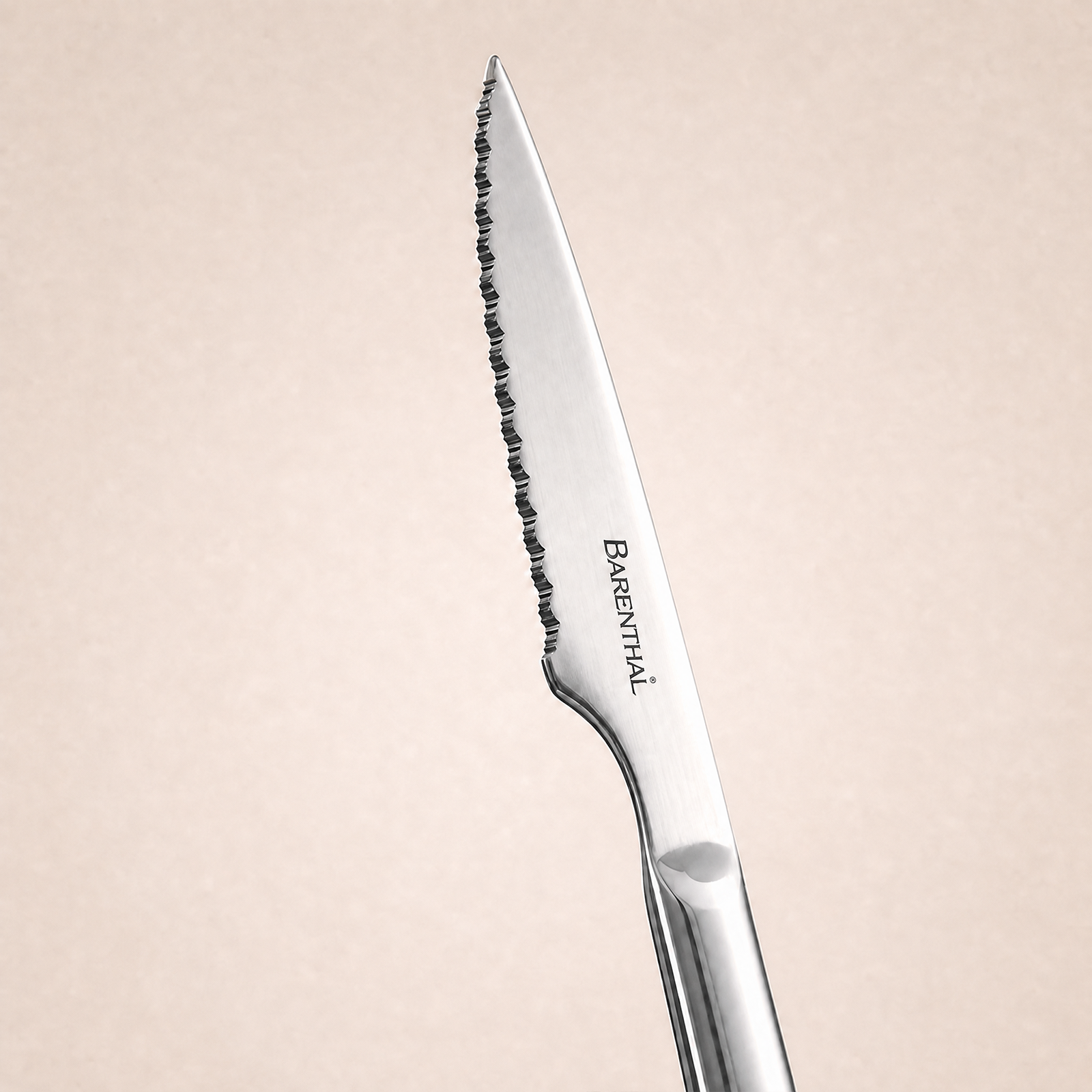 Barenthal 6-Piece Steak Knife Set with Wooden Storage Chest